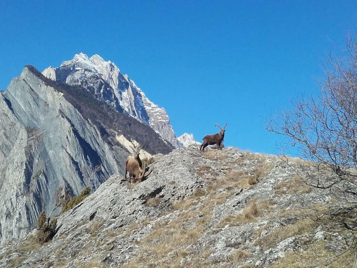 Location Vacances Saint Michel De Maurienne "Le Dahu" Apartment ภายนอก รูปภาพ